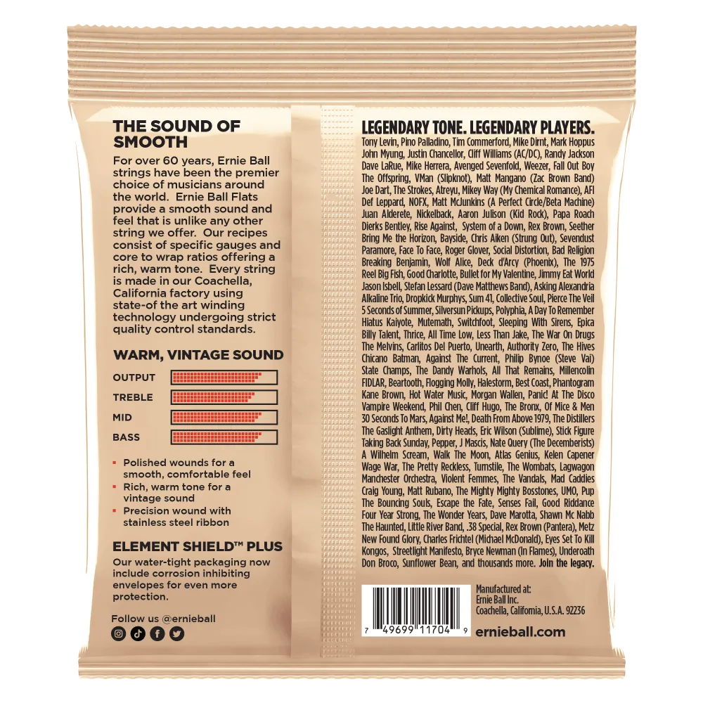 Ernie Ball 2805EB Flatwound Group 2.5 Electric Bass Strings 45-105