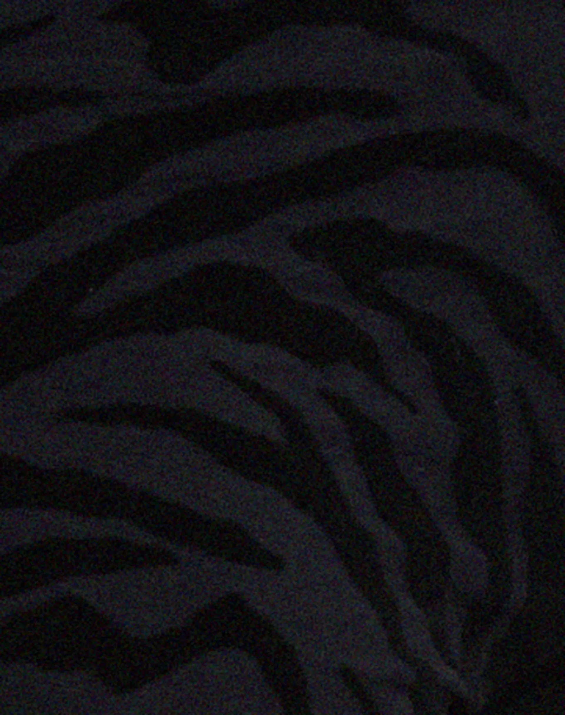 Nancha Flare Trouser in Zebra Flock Black